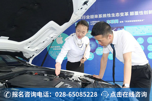 万通汽车商务类专业 (2)